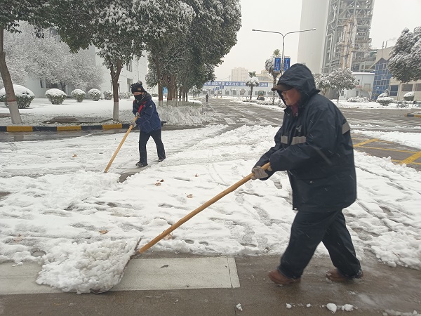 2024年1月15日，行政保衛(wèi)部組織人員在各主干道、人行道進行掃雪.jpg